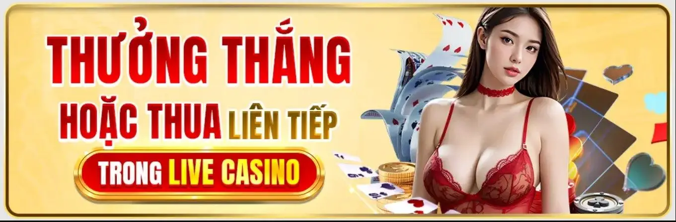 banner okwin