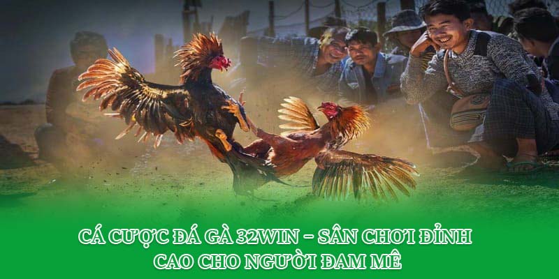 Cá Cược Đá Gà 32Win – Sân Chơi Đỉnh Cao Cho Người Đam Mê