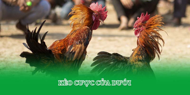 Kèo cược cửa dưới