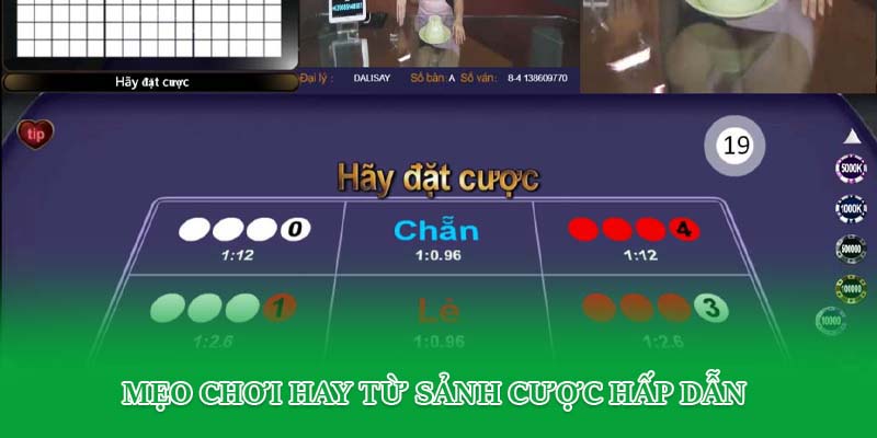 Mẹo chơi hay từ sảnh cược hấp dẫn