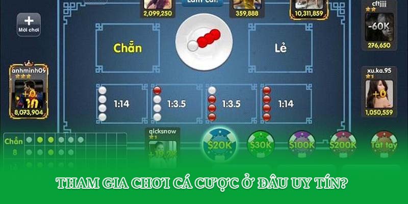Tham gia chơi cá cược ở đâu uy tín?